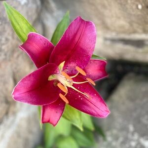 Meet your Posher, Cassandra